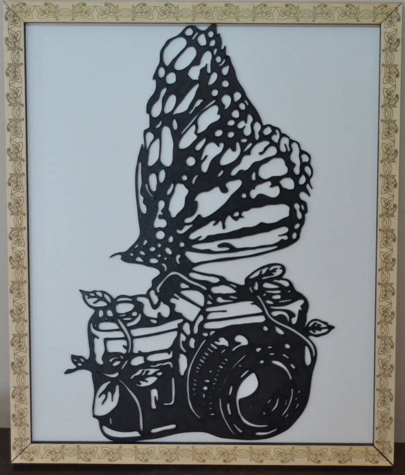 Butterfly frame with photo camera