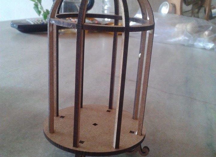 Cage for mounting