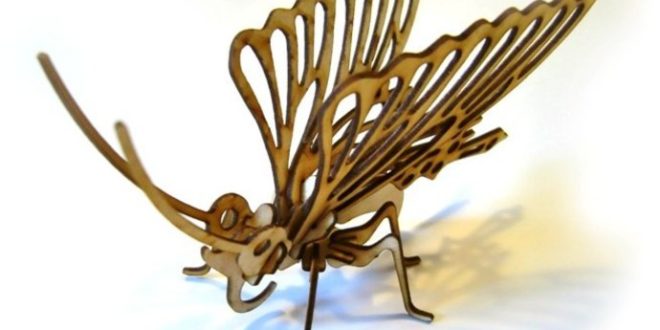 3D butterfly puzzle design