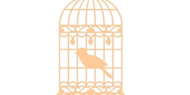 vector cage plane with bird