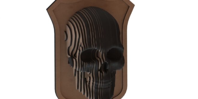 3d skull panel