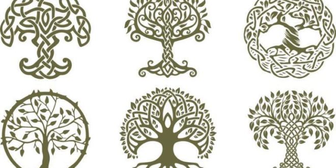 Celtic Trees 2D vectors silhouettes