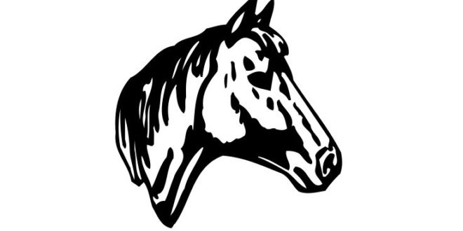 Horse head vector