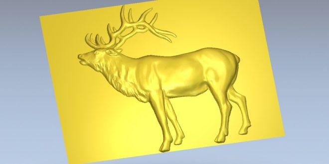 Cervus canadensis animal relief 3d