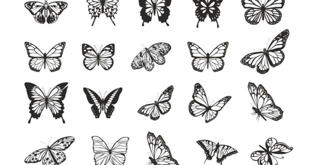 Butterflies Vectors 2d vectors pack cdr dxf