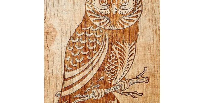 Owl vector for engraving cdr dxf files