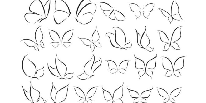 Free Vector Collection Butterfly contour silhouette