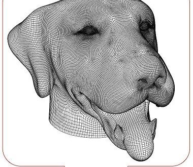 Dog Acrylic Optical 3D Illusion Vector CDR