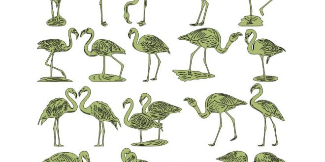 Free Cut Files Pack Package Flamingos Animals 2D