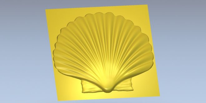 3D Model Relief  Seashell STL File 1450