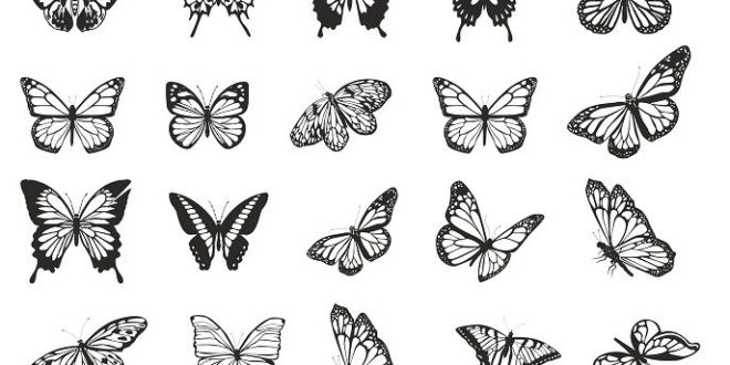 Free Butterfly 2D Vector Pack