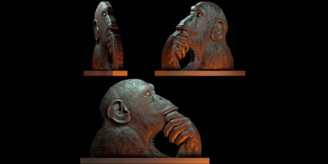 Monkey animal relief stl 3d model file 1609