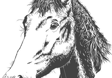 Free download Horse laser engraving vector file cdr