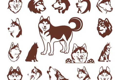 Silhouettes Dog Husky Engraving File Vectors dxf cdr