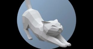 Pepakura Papercraft Cat Pdf File