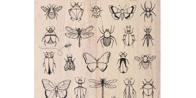 Free laser engrave insects pack cdr file vector