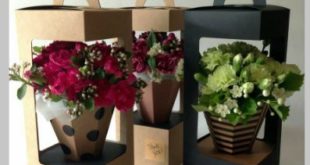Free silhouette studio box for flowers paper cut .studio3 file