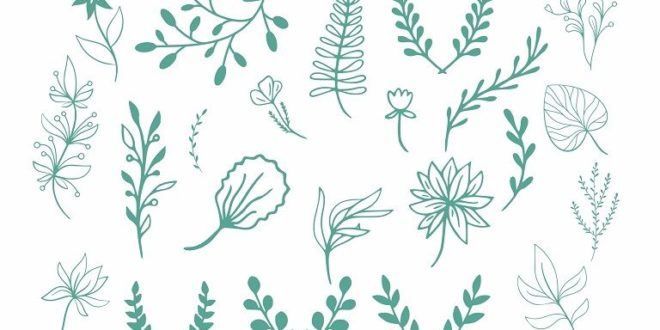 Free vector decor plants leaves