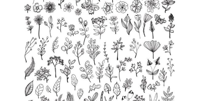 Free pack svg flowers cut files