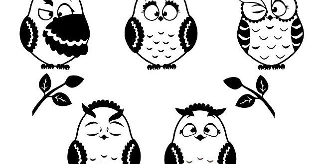 Free owls CDR vector