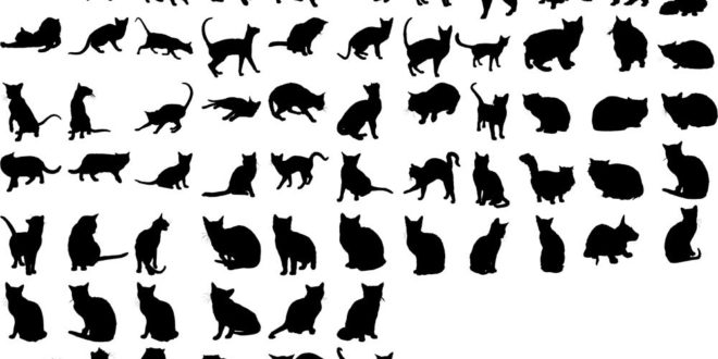 Svg Silhouette Cats Collection