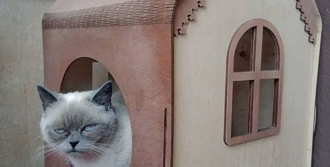 cat house to laser cut free design