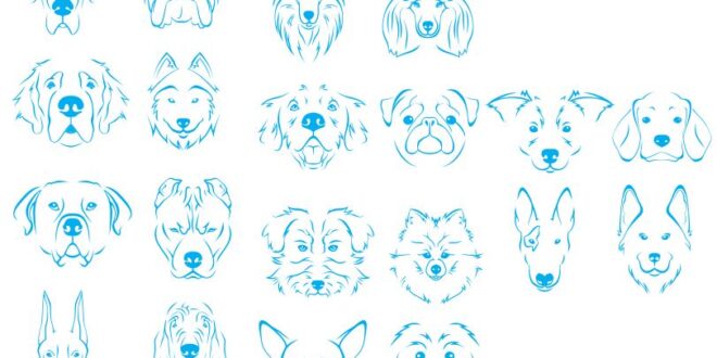 Set dogs line art Vectors DXF SVG CDR