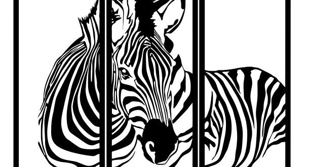 Zebra frame SVG DXF CDR