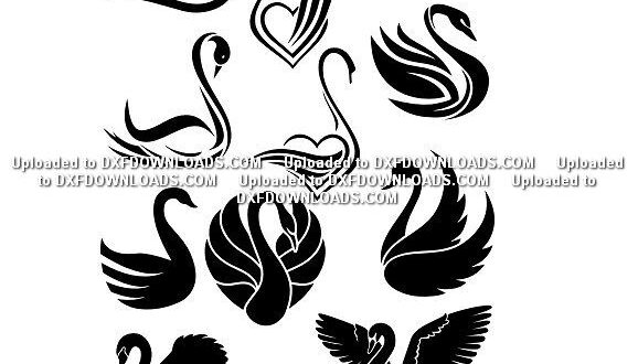 Free Swans svg silhouette