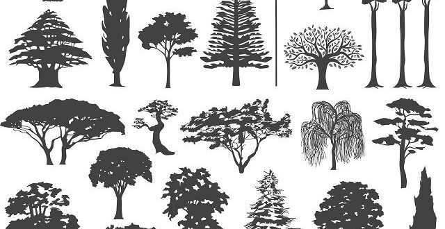 Tree silhuette vectors SVG Free