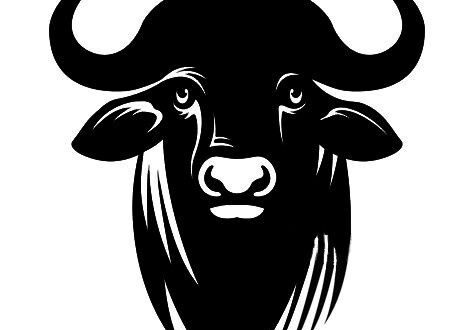 Bull buffalo Vector Free