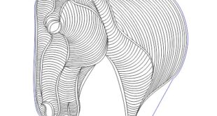 3D illusion Horse head lines