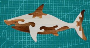 Shark 2d cut puzzle vector