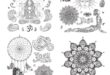 Free pack yoga SVG vectors