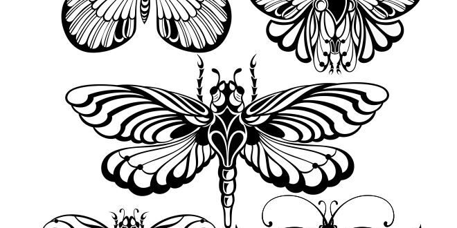 Free butterfly pack for laser engraving machines