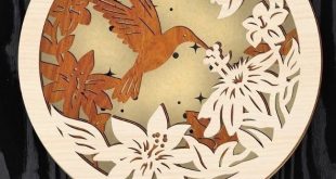 Free Layered Hummingbird