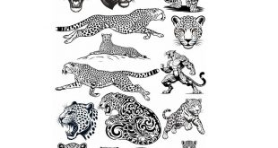 Jaguar Pack Vectors CDR File